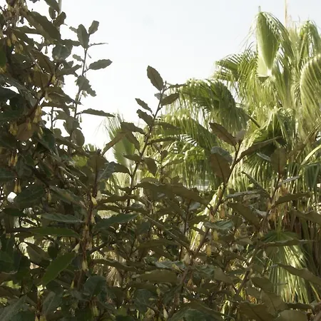 Bed and breakfast Casa Mimi Pescara