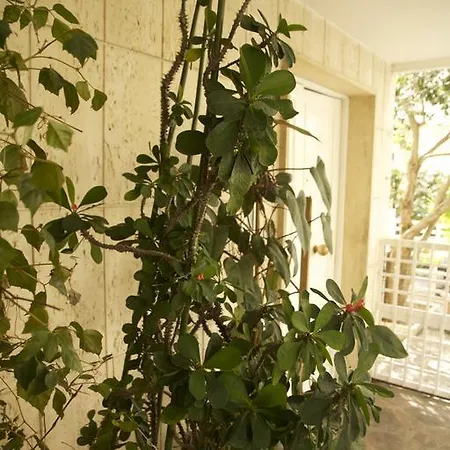 Casa Mimì Pescara