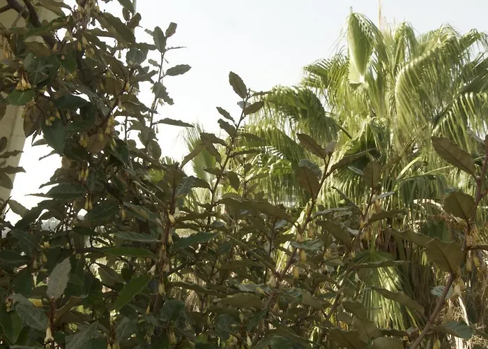 Bed and Breakfast Casa Mimi Πεσκάρα