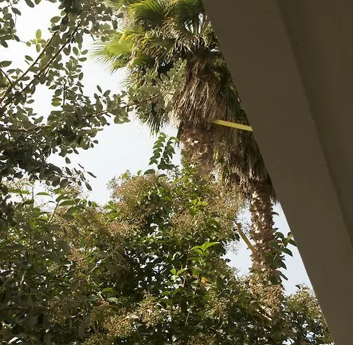 Casa Mimi Oda ve Kahvaltı